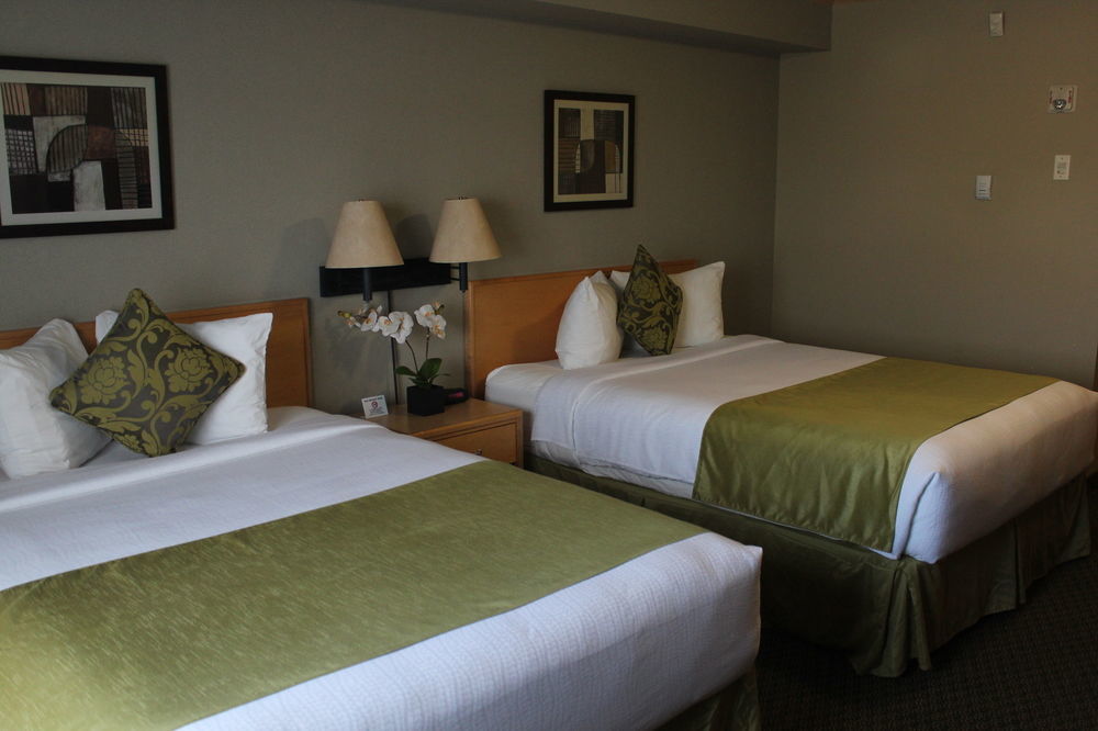 Travelodge By Wyndham פורט מקמארי מראה חיצוני תמונה